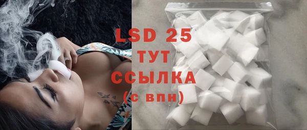 шишки Белоозёрский