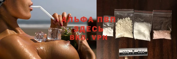 PSILOCYBIN Баксан