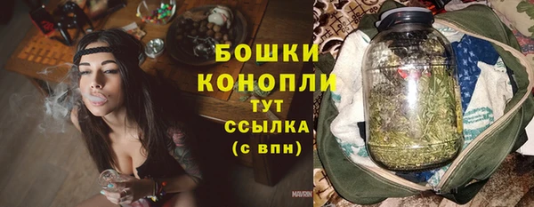 шишки Белоозёрский