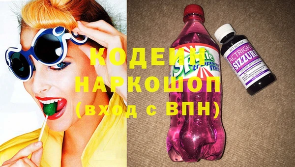 шишки Белоозёрский
