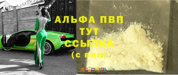 шишки Белоозёрский