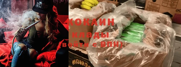 шишки Белоозёрский