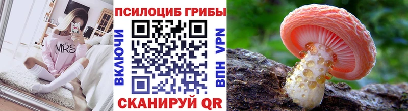 наркотики mega зеркало Галлюциногенные грибы мицелий Маркс