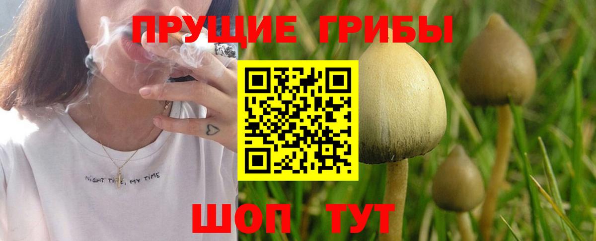 Галлюциногенные грибы мицелий  Вход с VPN  Маркс  Псилоцибиновые грибы мухоморы 